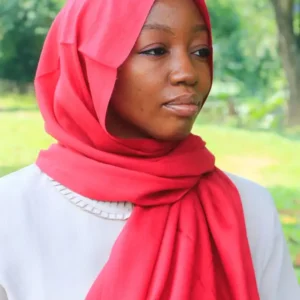 PLAIN LIGHT CASHMERE VEIL - Image 4