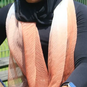 LUXURY OMBRE PLEAT CHIFFON VEIL - Image 3